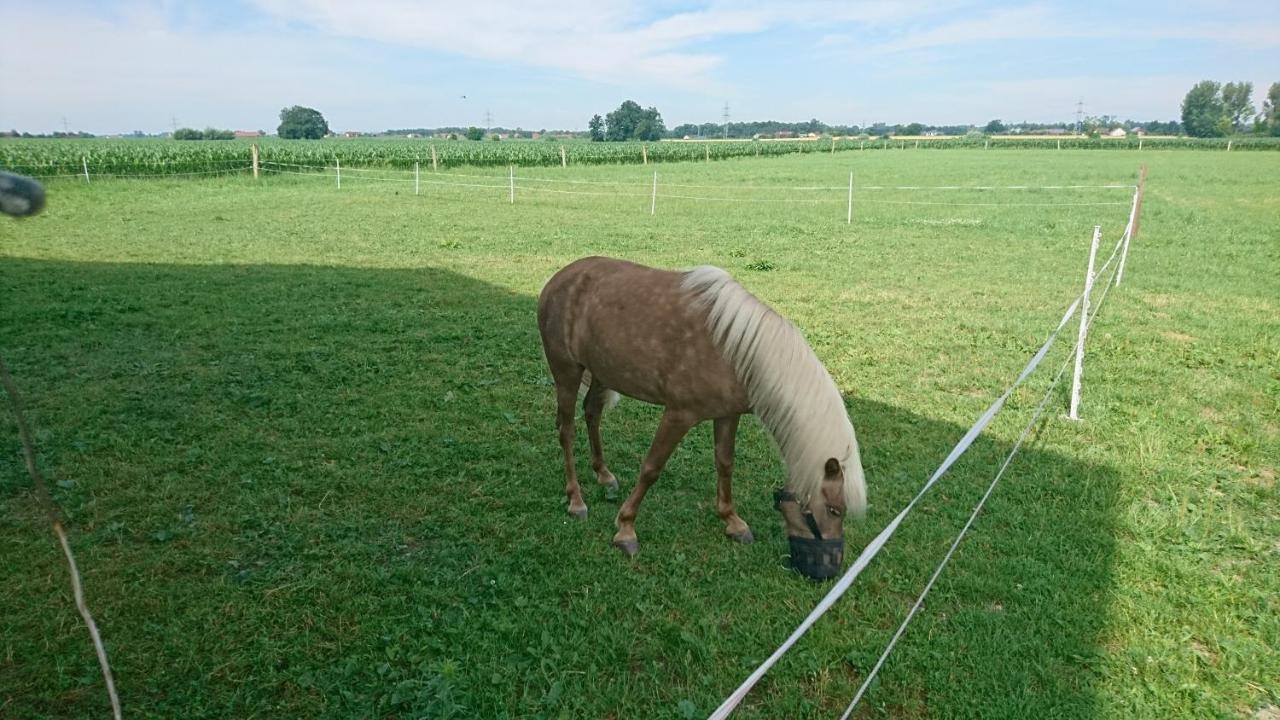 Ferienhof Fenzl Pocking  Eksteriør bilde
